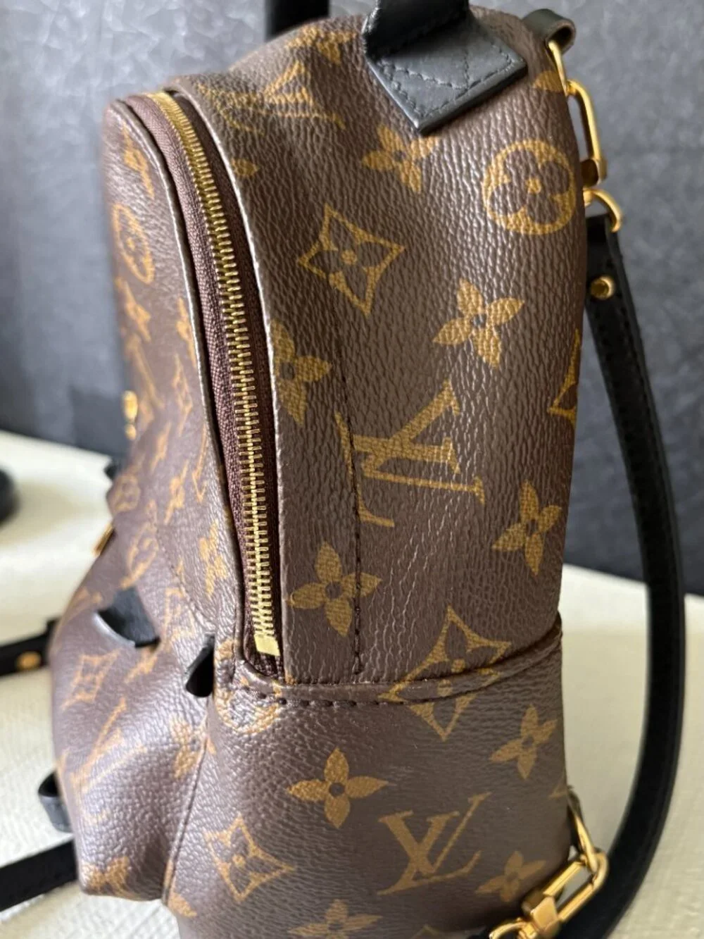 Louis Vuitton Palm Springs Mini Backpack